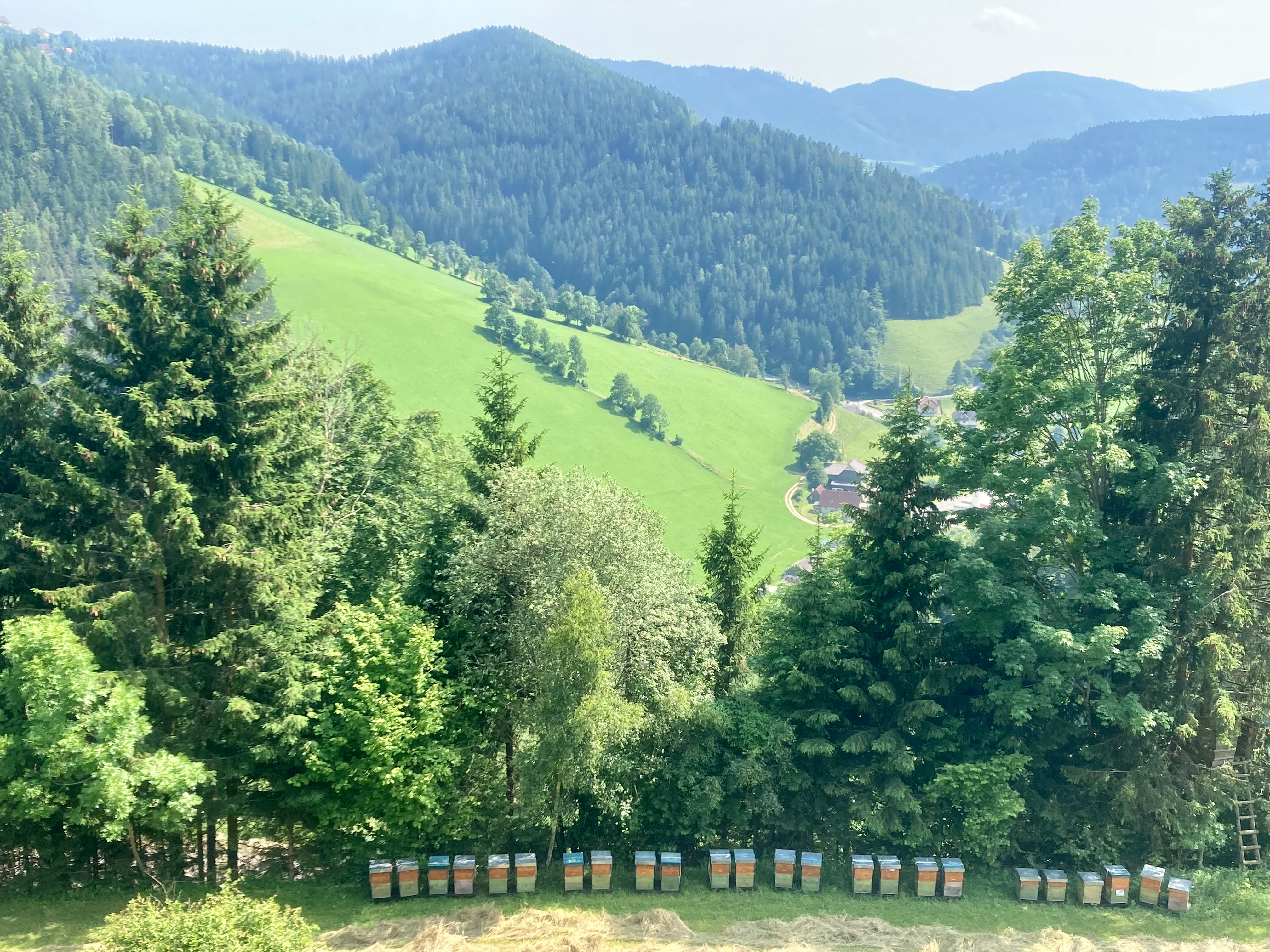 <h2><strong>100% Österreichischer Honig</strong></h2>