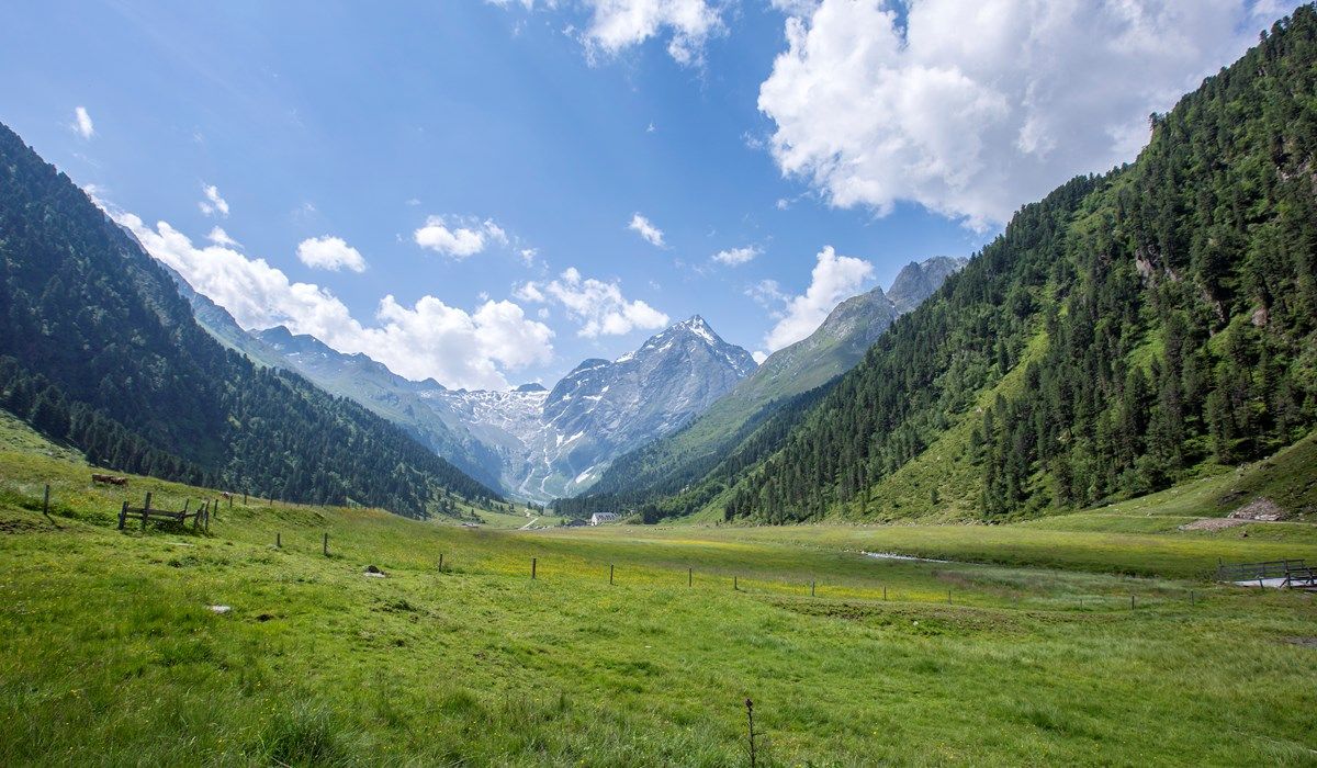 <p><strong>Reiner Genuss </strong></p><p><strong>100% aus </strong><em><strong>Österreich</strong></em></p>